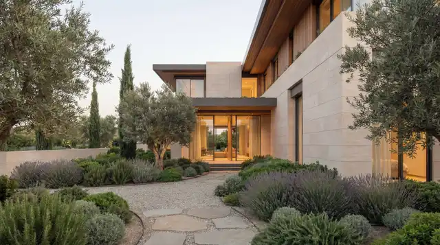 Olea House — Courtyard